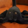 escorpiao gigante fofeza de pelucia 10 v2