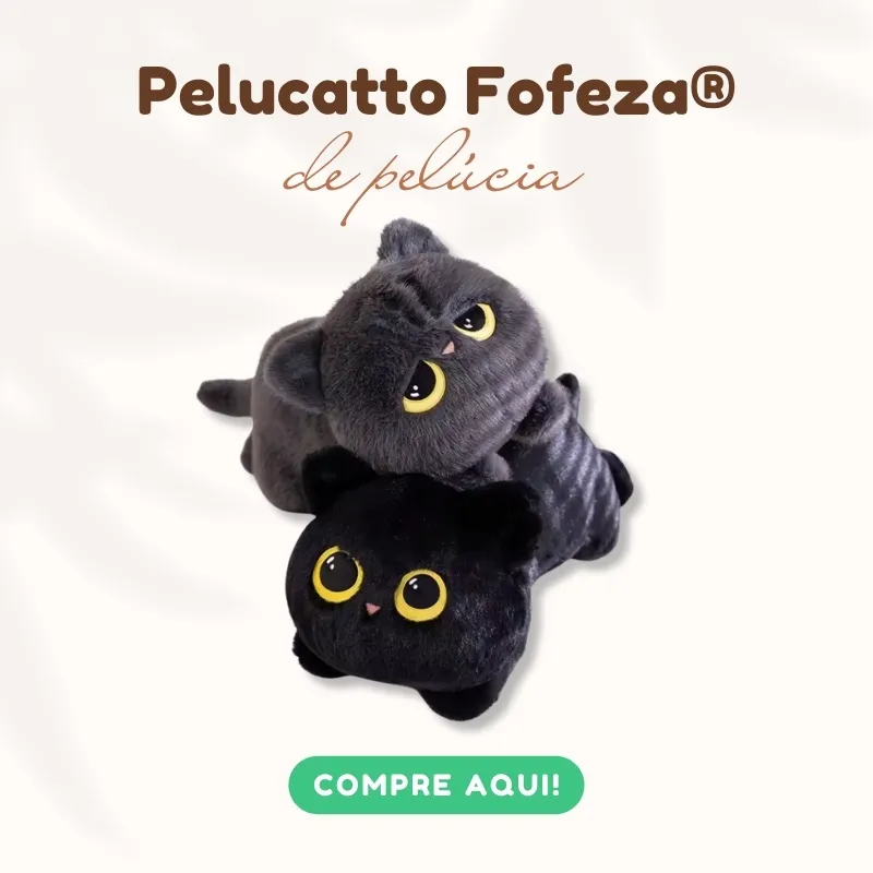 banner pelucia 2 v5