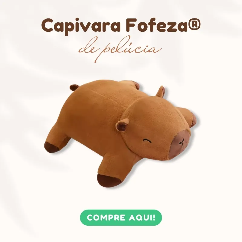banner pelucia 3 v5