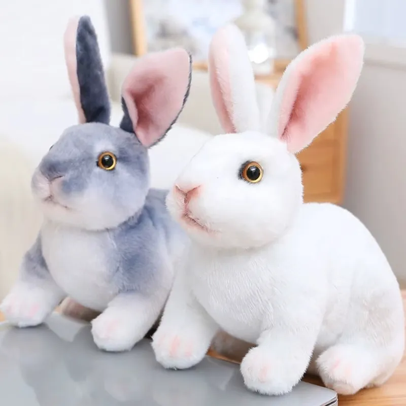 coelho gael fofeza de pelucia 8 v1